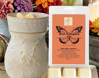 Eco-Friendly Fall Soy Wax Melts - Clean Pet Safe Natural Home Fragrance Vegan Autumn Scented