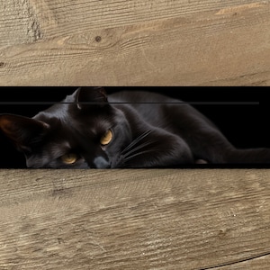 Porta-cartas de tarô gato preto - porta-3 cartas