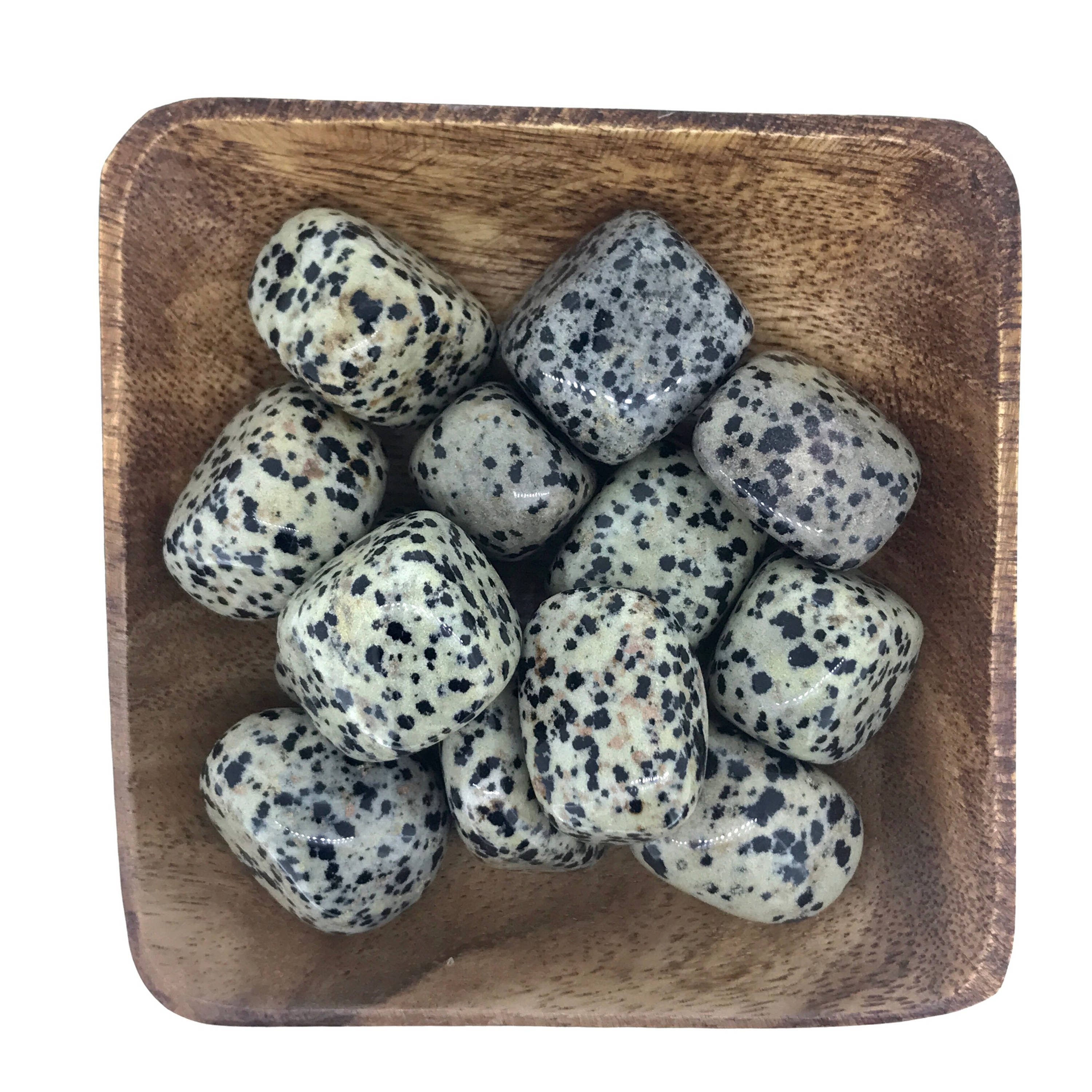 Dalmatian Jasper TUMBLED Dalmatian Jasper - Root Chakra - Sacral Chak…