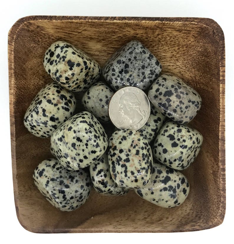 dalmation jasper quartz dalmation jasper quartz