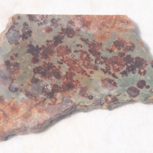 May include: A natural stone slab with a unique pattern. The surface features a blend of colors, including green, brown, and reddish-brown, creating a mottled appearance. The stone has an irregular shape and a rough texture, suitable for decorative purposes.