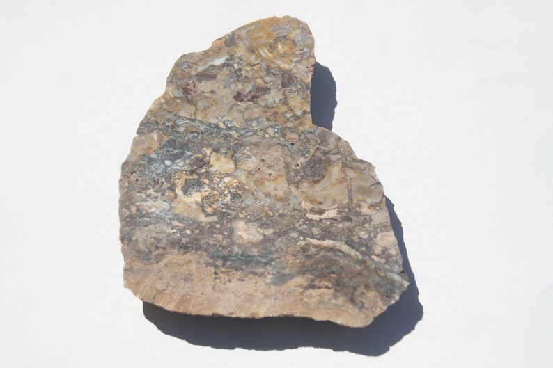 May include: A natural stone slab with a rough, irregular shape. The stone features a mix of beige, gray, and brown hues with intricate patterns and textures. The surface appears to be polished, highlighting the natural variations.