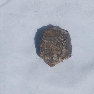 May include: A small, irregularly shaped rock with a rough, textured surface. The rock has a mix of brown and tan colors, with darker areas suggesting a weathered appearance. It sits on a white surface.