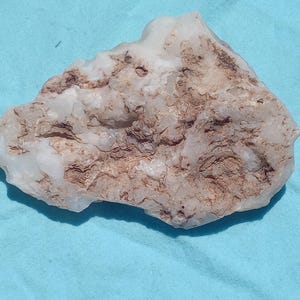 May include: A natural, irregularly shaped stone with a mix of white and brown hues. The stone has a rough, textured surface and sits against a light blue background. The stone's unique pattern and color variations are visible.