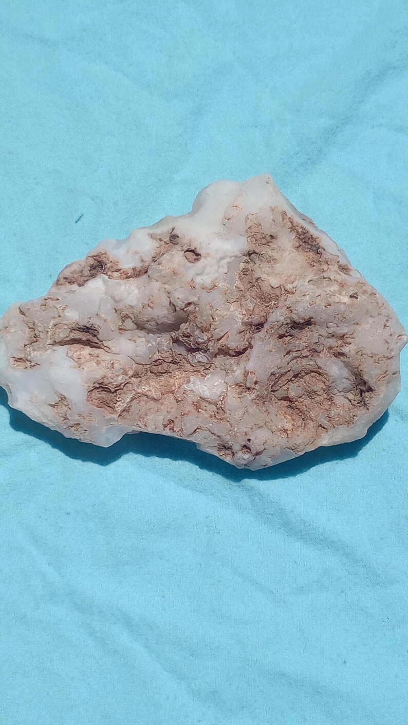 May include: A natural, irregularly shaped stone with a mix of white and brown hues. The stone has a rough, textured surface and sits against a light blue background. The stone's unique pattern and color variations are visible.