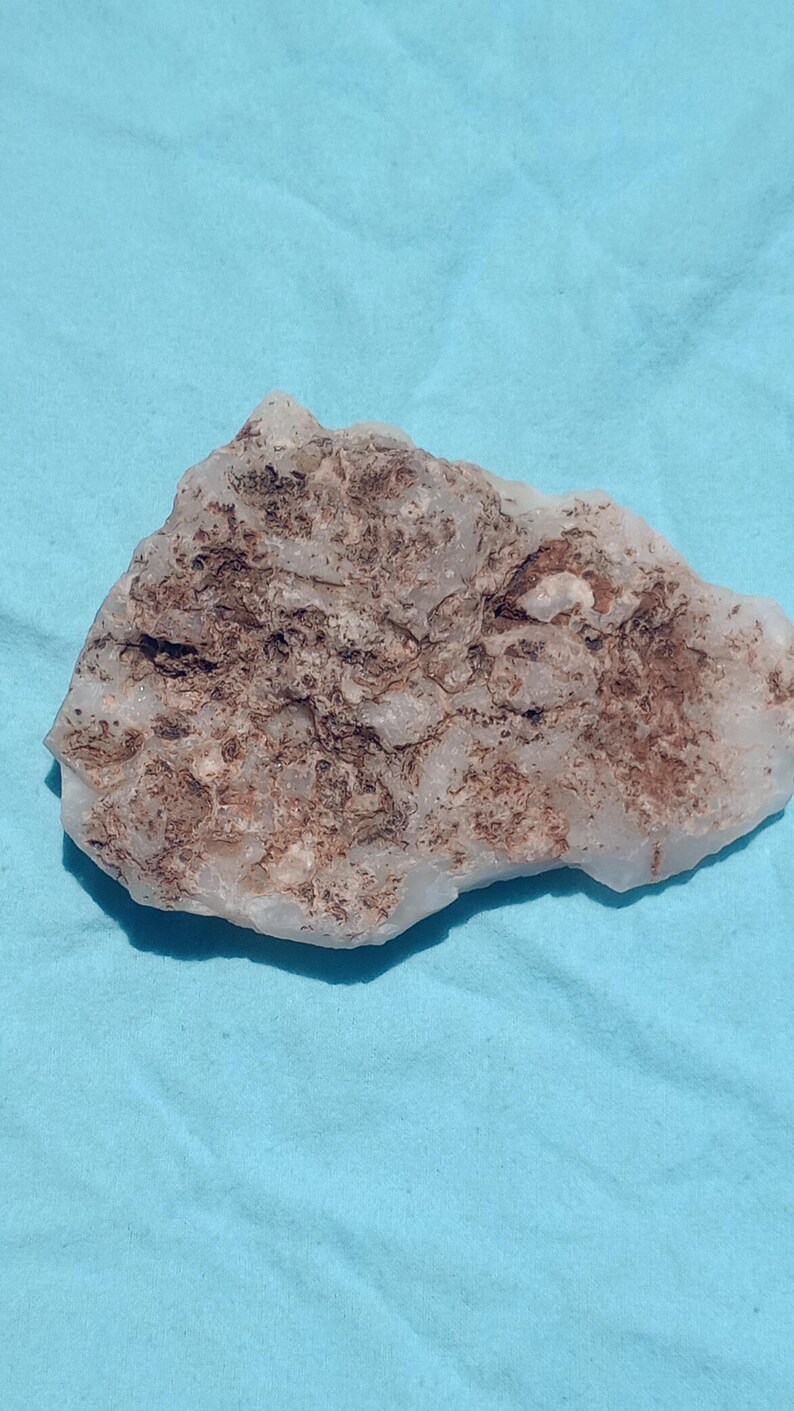 May include: A rough, irregularly shaped rock with a light beige and brown mottled pattern. The rock is set against a light blue background, creating a contrast in color and texture. The stone appears to be a natural mineral specimen.