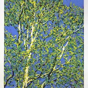 Riverview Sky, siedmiokolorowy druk artystyczny w linorycie redukcyjnym