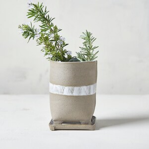 May include: A small, light brown ceramic planter with a white stripe around the middle. The planter has a matching saucer and is filled with a sprig of rosemary with small white flowers.