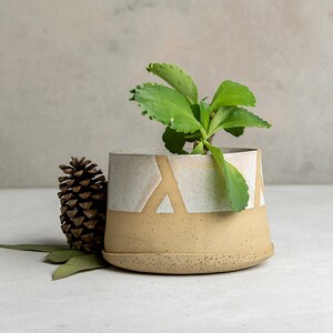 May include: A small, beige ceramic planter with a white geometric design. The planter has a rounded base and is filled with a green succulent plant.