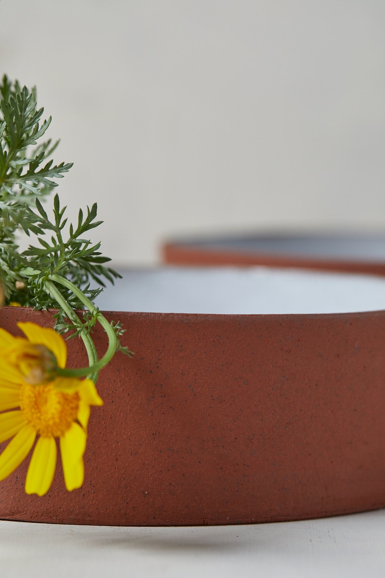 May include: A close-up of a terracotta-colored ceramic bowl with a white rim. A yellow flower with green leaves is partially visible in the bowl.
