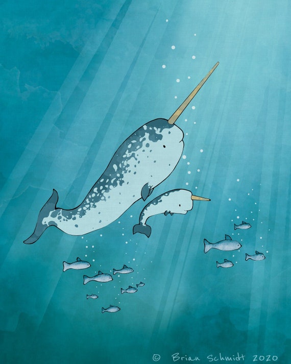 Narwhal Art Print Arctic Animal Nursery Decor Sea Animals - Etsy Narwhal Art Print Arctic Animal Nursery Decor Sea Animals - Etsy