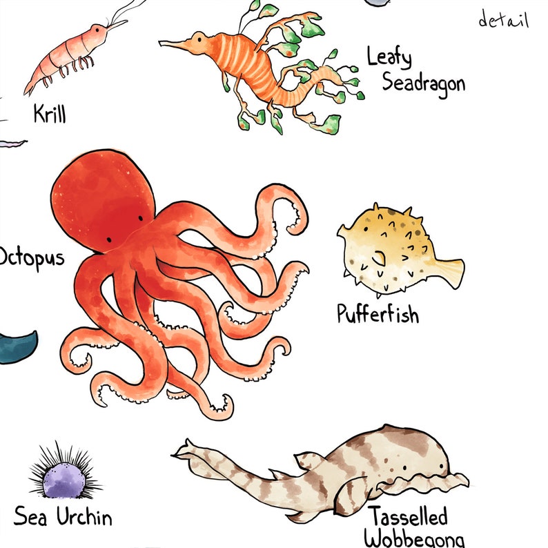 Alphabet Art Print Ocean Animals Marine Life Watercolors - Etsy