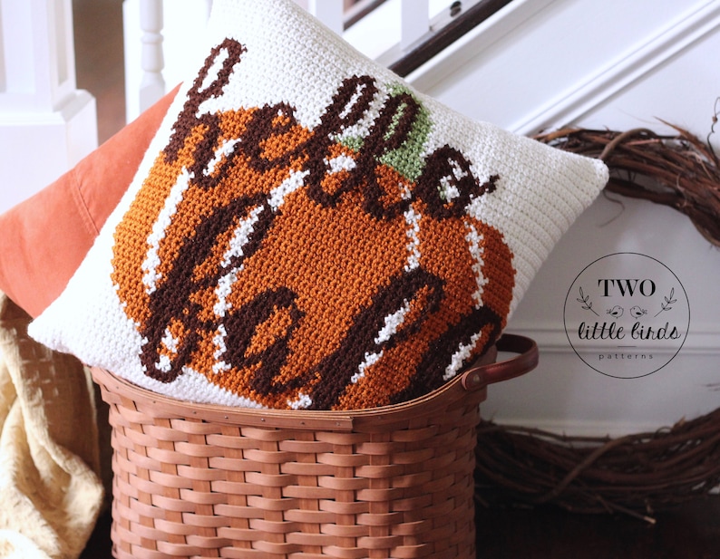 Fall crochet pillow pattern, crochet pillow cover, crochet pumpkin pillow tutorial, autumn home decor, rustic fall decor, HELLO FALL PILLOW image 2