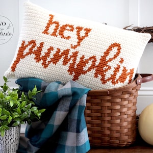 Crochet fall pillow pattern, crochet pumpkin pillow, tapestry crochet pattern, diy fall home decor, pdf pattern, HEY PUMPKIN Pillow