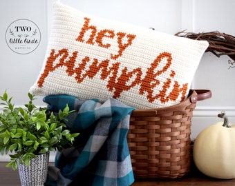 May include: A crocheted pillow with the text "hey pumpkin" in orange lettering on a white background. The pillow is sitting in a brown wicker basket with a plaid blanket and a potted plant.