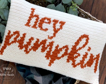 May include: A white crocheted pillow with the text "hey pumpkin" in orange.