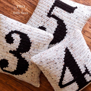 Crochet pillow pattern, Family number pillow pattern, tapestry crochet, farmhouse crochet home decor, pdf tutorial, SPENCER NUMBER PILLOW