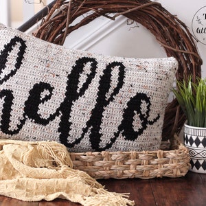 May include: A white crocheted pillow with the word "hello" in black lettering. The pillow is sitting on a woven basket with a green plant in a black and white patterned pot.