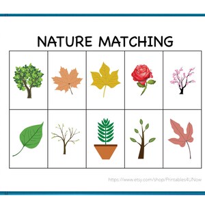 Puede incluir: Un juego de correspondencia de naturaleza imprimible con imágenes de árboles, hojas, flores y ramas. El juego se titula "Nature Matching".