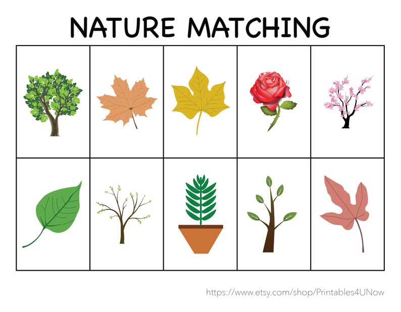 NATURE MATCHING, Toddler INSTANT Download, Easy on Printer, Learn