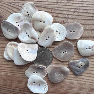 Singles Real Shell Buttons #S484