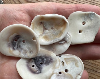 Large Real Shell Buttons #S398