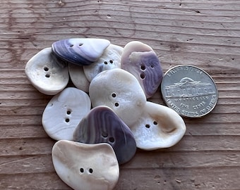 Conjunto de seis botões artesanais em formato de concha do mar, tamanho padrão para moeda de cinco centavos de dólar americano #S489