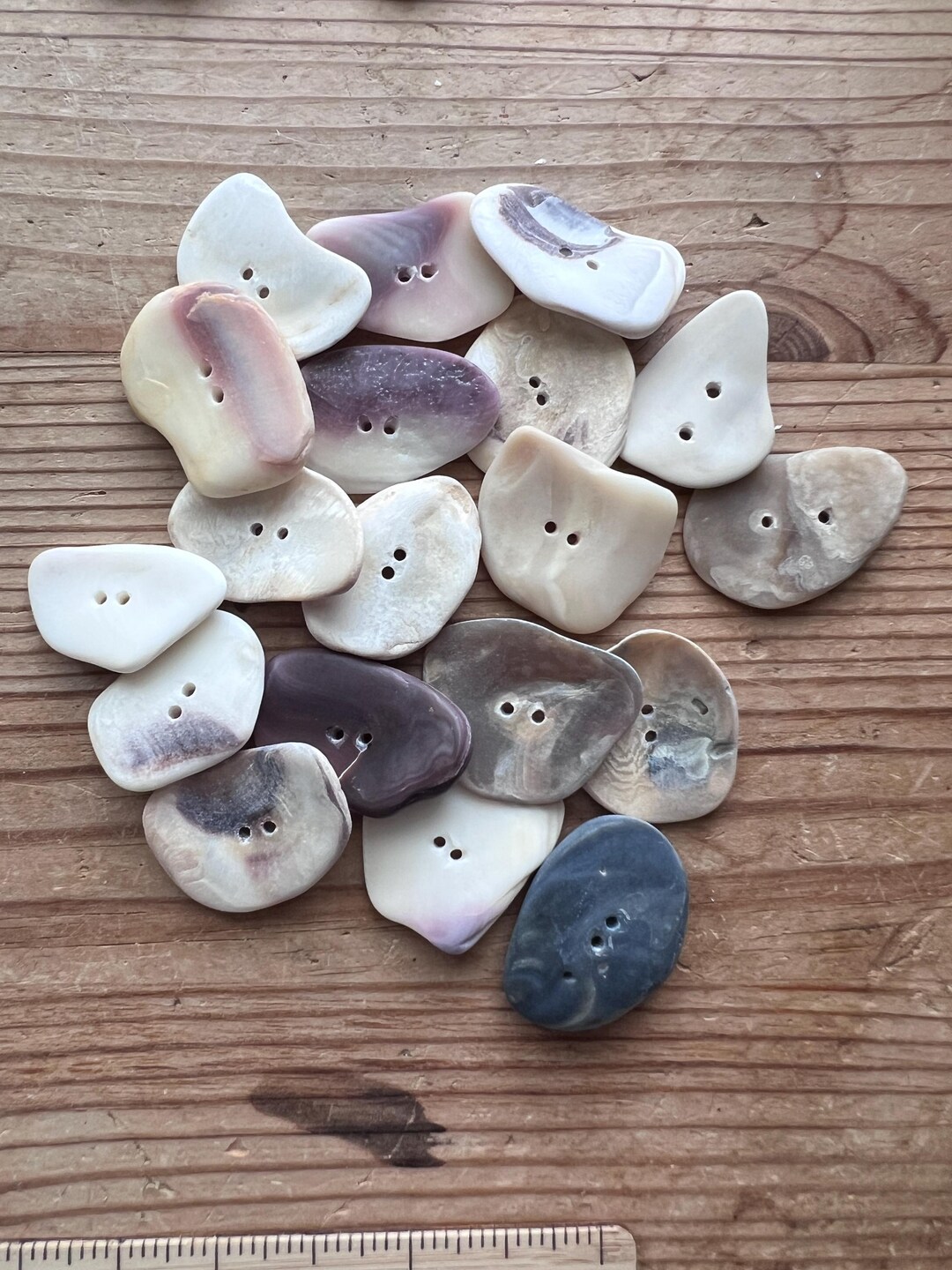 Real Shell Buttons: Sets of Six Large Buttons #S487 - Etsy