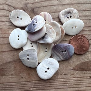 Singles Real Shell Buttons #S486