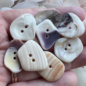 Set of 8  Real Shell 3/4 inch Buttons #S474