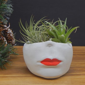 May include: A white ceramic face planter with red lips, holding green air plants. The planter is on a wooden surface, with a Christmas tree decoration in the background. The planter is approximately 6 inches wide.