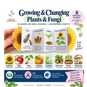 Może przedstawiać: Materiał edukacyjny zatytułowany Growing & Changing Plants & Fungi zawierający 8 praktycznych minilekcji i wycinanek harmonijkowych. Obraz przedstawia książeczkę harmonijkową o słoneczniku z etapami wzrostu oraz ilustracje słonecznika, jabłka, fasoli, dyni, mniszka lekarskiego, dębu białego, orzecha ziemnego i grzyba.