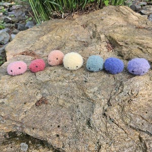 May include: A collection of seven small, fuzzy, round creatures in a variety of colors, including pink, red, peach, yellow, blue, purple, and lavender. They are arranged on a textured, light brown rock surface, with green foliage in the background.