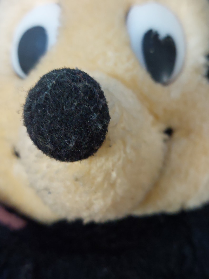 May include: Close-up of a plush toy's face, featuring a black felt nose and large, white eyes with black pupils.