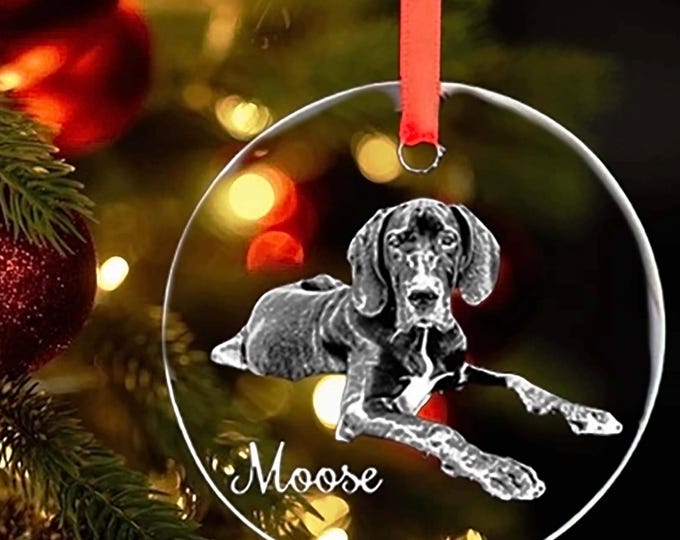 Personalized engraved photo ornament, glass circle