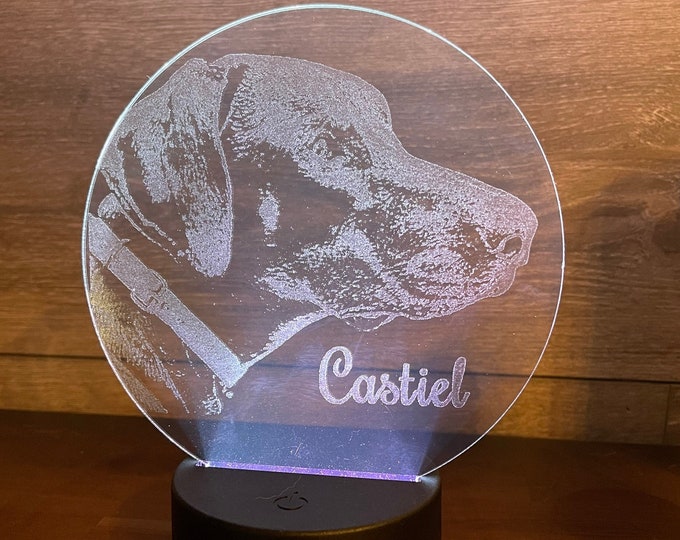 Photo Engraved Acrylic LED Lamp, Personalized Night Light Sign