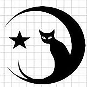 Black cat on the moon Vinyl Car, Laptop or tumbler Decal