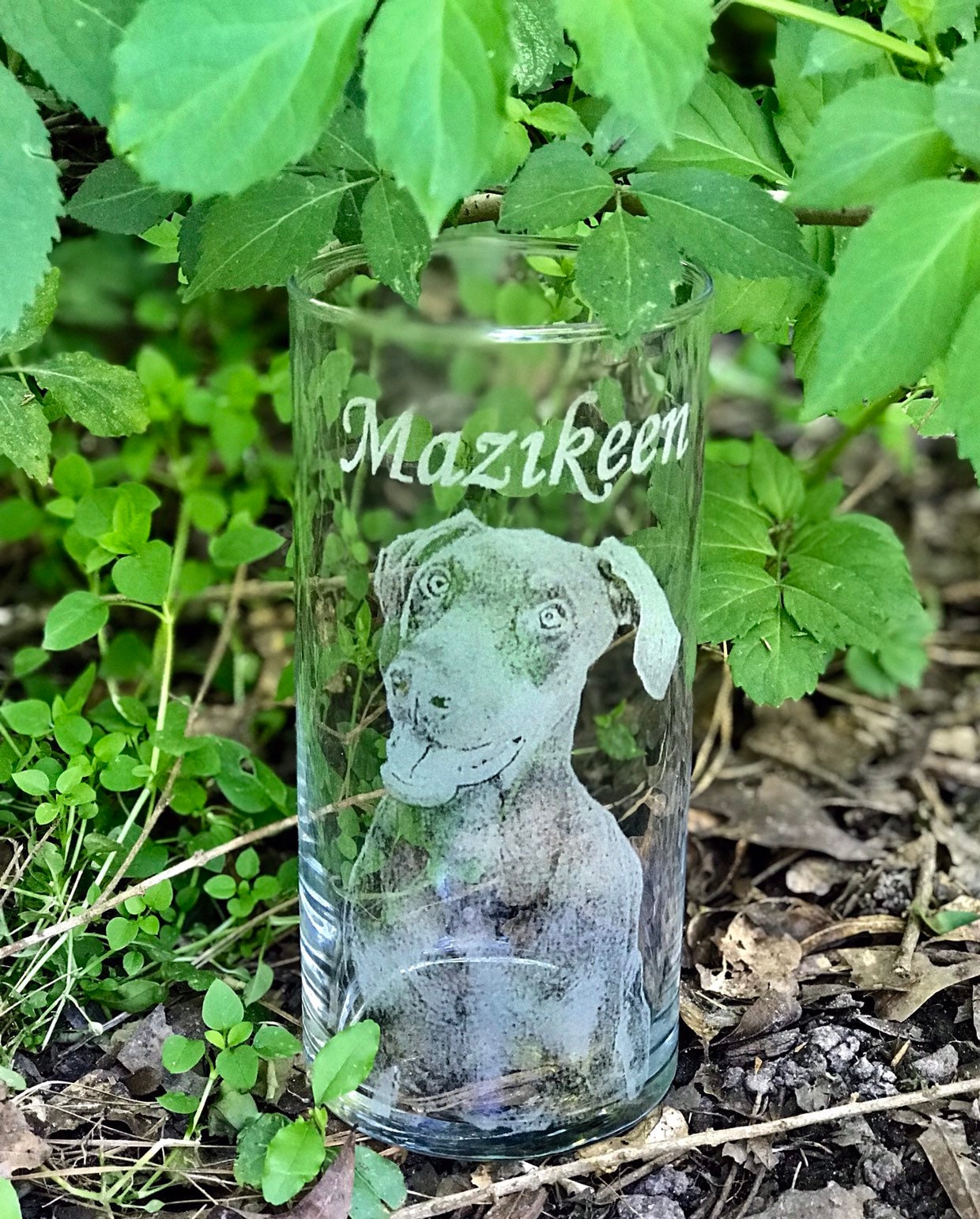 Personalized, Engraved Vase, Custom picture glass vase, Pet photo Vase