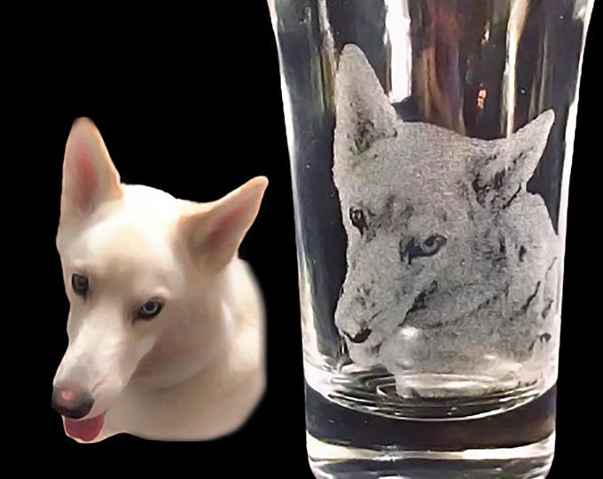 Custom Photo Engraved Shot Glass Set, Pet Memorial Gift