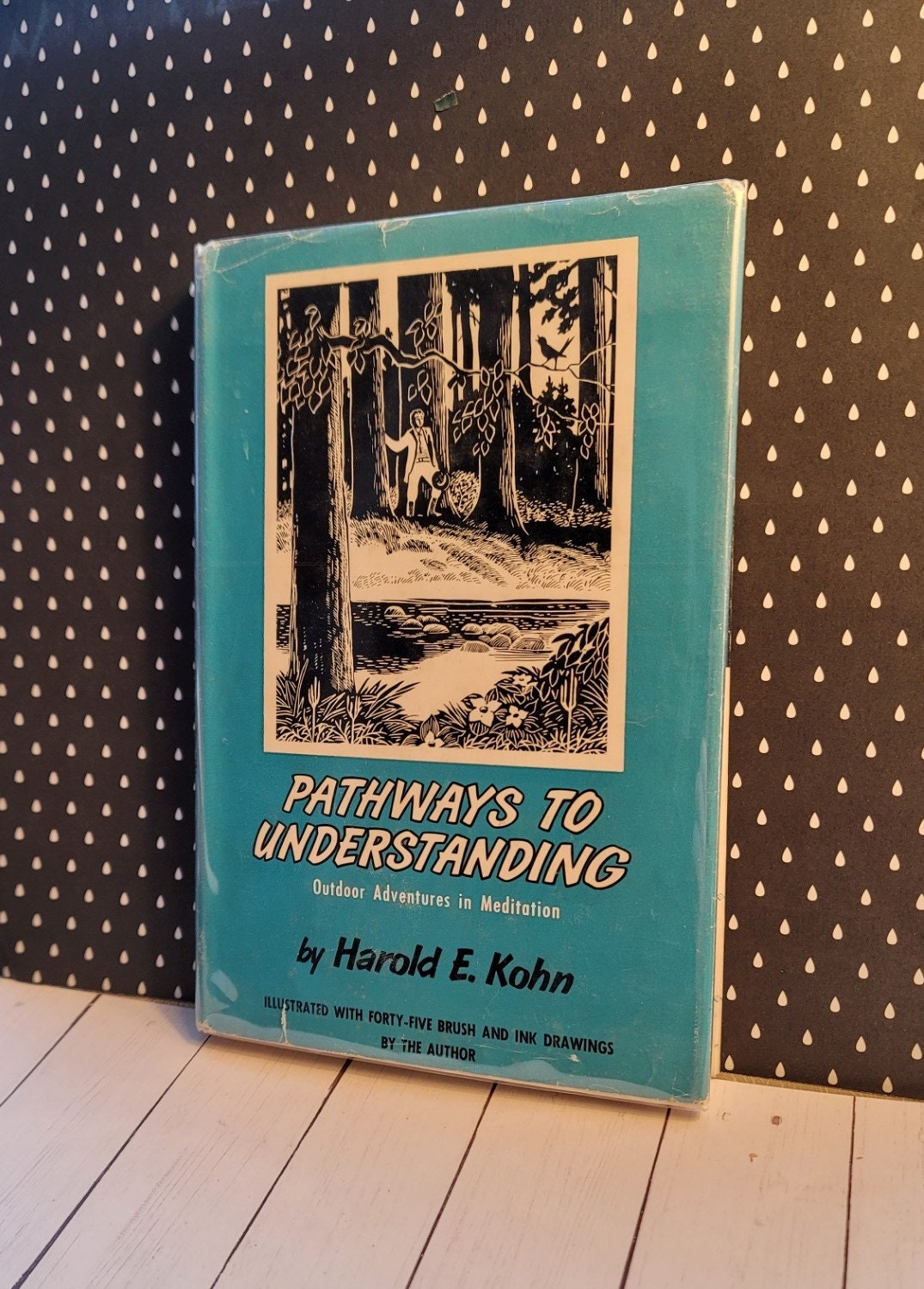 Vintage Book Pathways to Understanding Outdoor Adventures in Meditation ...