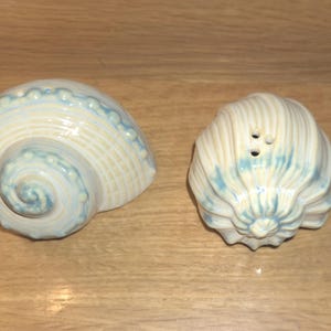 Home Studio Stoneware Sea Shell Salt and Pepper Shakers - Kohls Shoreline Collection - Brand New in original box