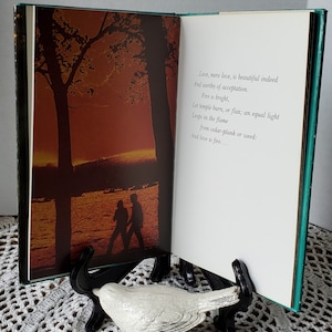 May include: An open book with a green cover and white pages. The book is propped open on a white bird figurine. The pages contain a poem about love and fire. The background is a blurry image of a couple walking on a beach at sunset.