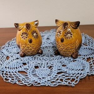 Salt and Pepper Owls with Googly Eyes