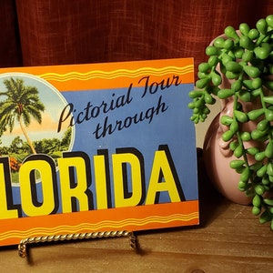 Authentische Vintage Pictorial Tour durch Florida Bilderbuch mit Postkartenbildern reproduziert Curt Teich Art-Colortone Prozess