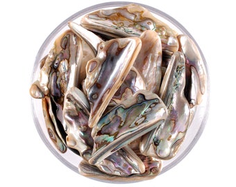 Concha de abulón grande, regalo para amantes de los cristales, cuenco de paua iridiscente natural para purificar el aire.