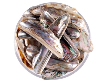 Coquillage d'ormeau, coquillage irisé, bol pour bavure naturelle, décoration d'intérieur esprit océan