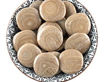 Aragonite Eichenberg Palm Stone, Deep Grounding And Stability, Zebra Altar Gem