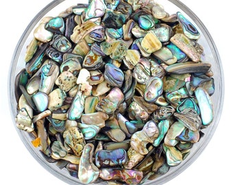 SET DI 50 conchiglie di abalone, conchiglia di abalone grezzo, perla di madreperla grezza, madreperla, perla bianca, perla di madreperla, conchiglia di madreperla, pietre di madreperla