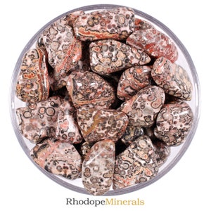 Leopard Skin Jasper Tumbled Stone, Leopard Skin Jasper, Tumbled Stones, Stones, Crystals, Rocks, Gifts, Gemstones, Gems, Zodiac Crystals