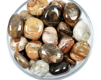 Petrified Wood Tumbled Stone, Ancestral Grounding, Root Chakra Ritual Gem